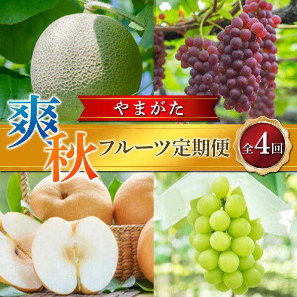 山形県の【ふるさと納税】 ≪2026年先行予約≫ 全4回 やまがた爽秋フルーツ定期便 FSY-2390|詳細画像