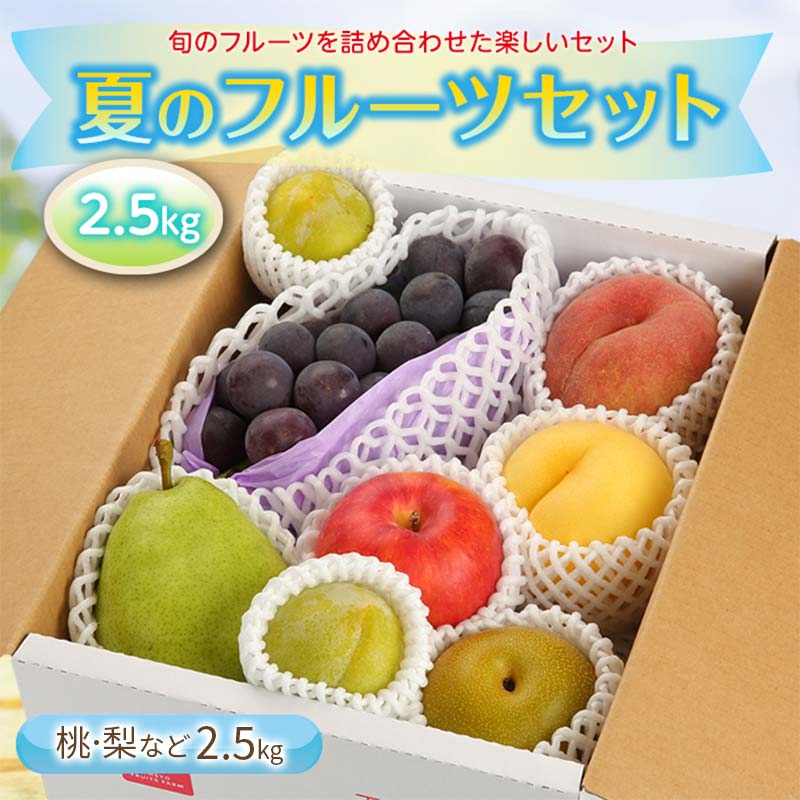 [先行予約 2026年度発送]夏のフルーツセット 2.5kg もも モモ 桃 デザート フルーツ 果物 くだもの 果実 食品 山形県