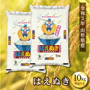 【ふるさと納税】山形県産 令和二年度産 はえぬき 10kg(...
