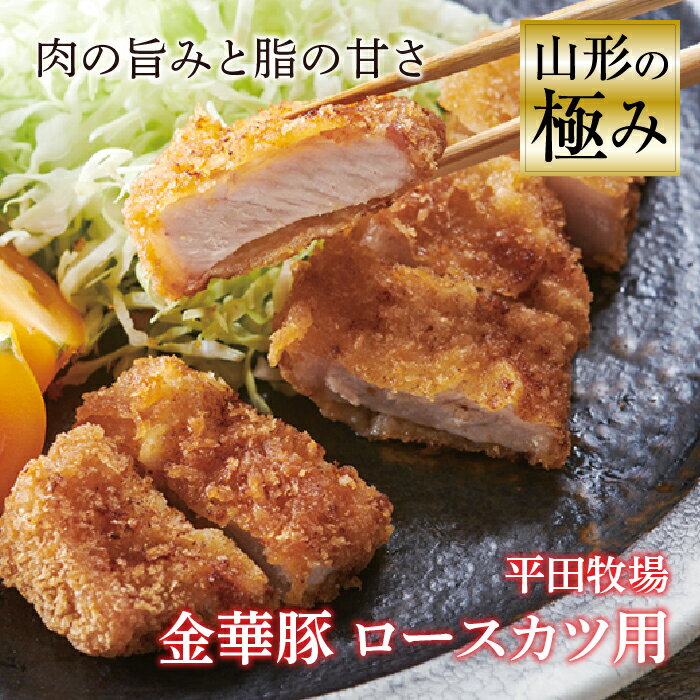 記事番号:33158/アイテムID:333616の画像