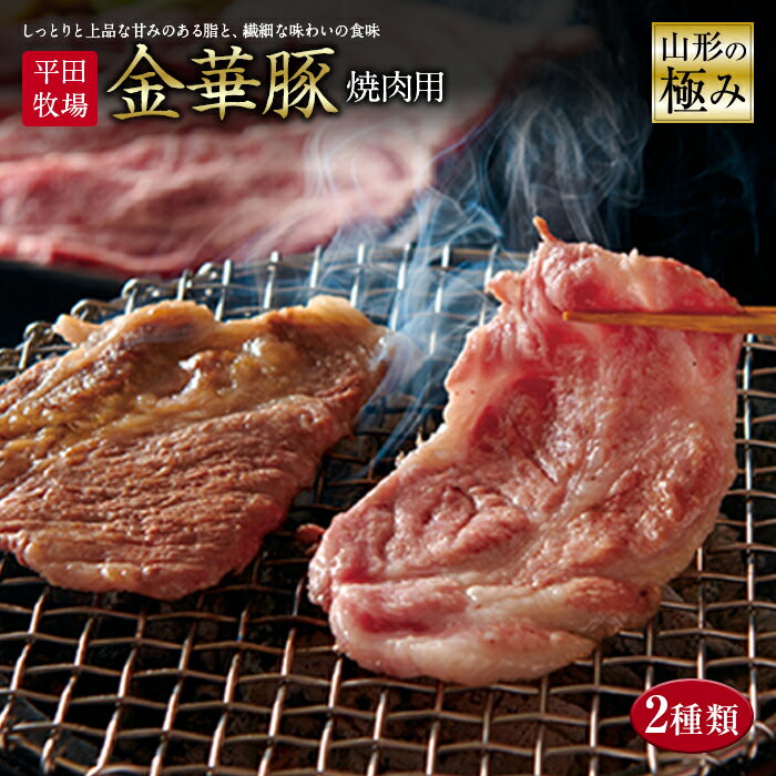 【ふるさと納税】山形の極み 平田牧場金華豚 焼肉用 F2Y-0373