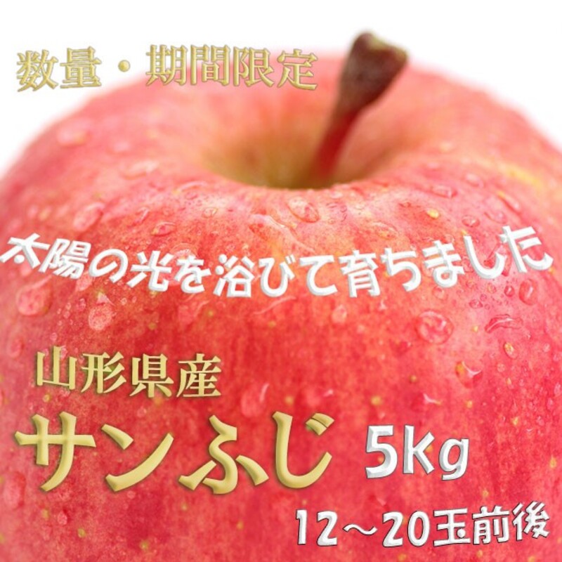 [先行予約 2024年度発送] ※数量・期間限定※ 山形県産りんご サンふじ 秀品 約5kg 12玉〜20玉前後