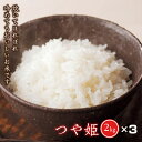 人気ランキング第17位「山形県」口コミ数「0件」評価「0」特別栽培米 山形県産 つや姫 F2Y-0675