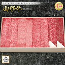 【ふるさと納税】山形牛 焼肉用 肉質等級:4等級(B.M.S.No.5)以上 F2Y-0891