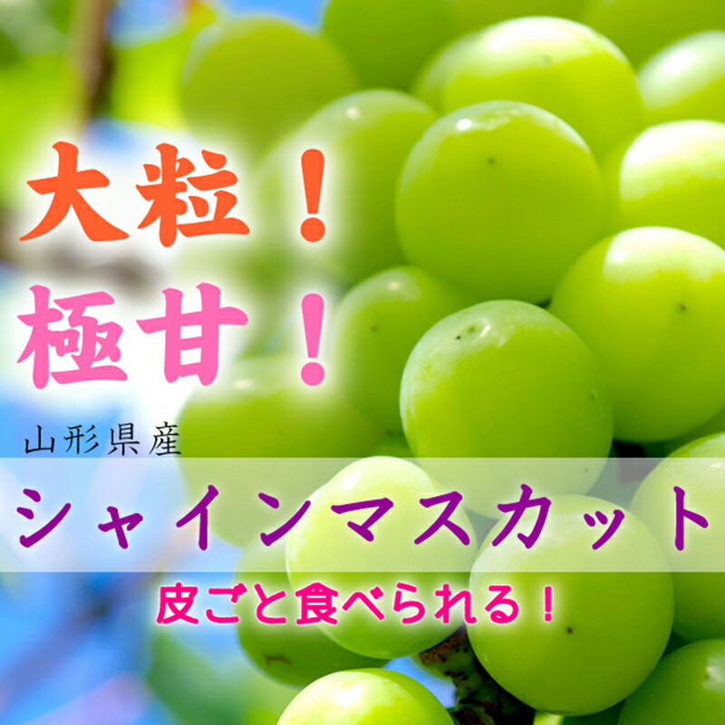 【ふるさと納税】 《先行受付 2025年》山形県産 大房大粒シャインマスカット 約700g~800g マスカット ぶどう ブドウ 葡萄 デザート フルーツ 果物 くだもの 果実 食品 山形県 FSY-1800