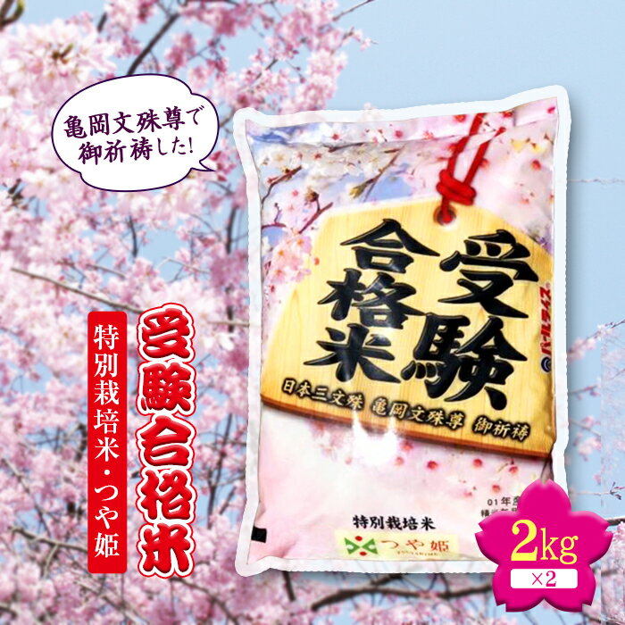 【ふるさと納税】令和4年度産 日本三文殊 亀岡文殊 受験合格米（特別栽培米 つや姫） F2Y-1115 1