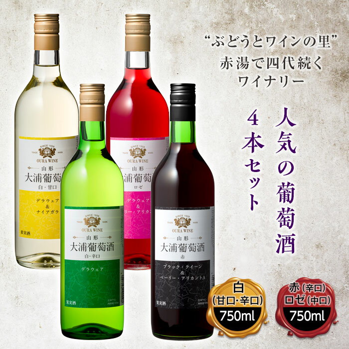 【ふるさと納税】大浦葡萄酒 人気葡萄酒4本セット F2Y-2207