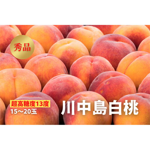 【ふるさと納税】《2025年先行予約》【超高糖度13度】川中島白桃 秀品 15〜20玉 もも モモ 桃 デザート フルーツ 果物 くだもの 果実 食品 山形県 FSY-0442 【ふるさと納税】《2025年先行予約》【超高糖度13度】川中島白桃 秀品 15〜20玉 もも モモ 桃 デザート フルーツ 果物 くだもの 果実 食品 山形県 FSY-0442