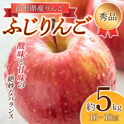 《2023年先行予約》りんご「ふじりんご」秀品 10〜18玉 5kg FSY-0557