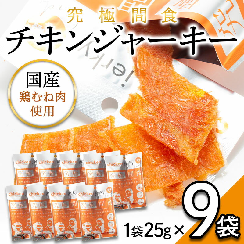 究極間食 チキンジャーキー 25g×9袋