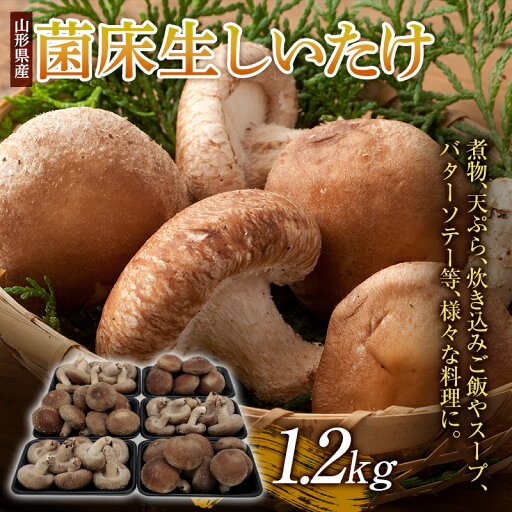 【ふるさと納税】肉厚! 菌床生しいたけ 1.2kg F2Y-3327 【ふるさと納税】肉厚! 菌床生しいたけ 1.2kg F2Y-3327