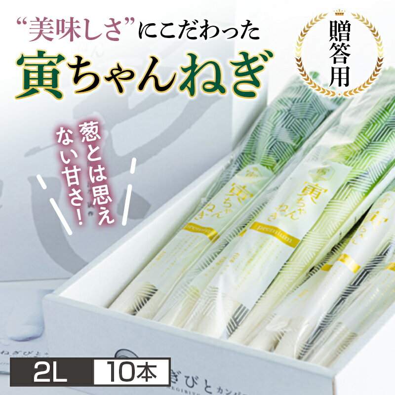 [ねぎびとカンパニー][先行予約] 贈答用 山形県産 寅ちゃんねぎ 2Lサイズ 10本入(2本×5袋) 2024年12月初旬から順次発送