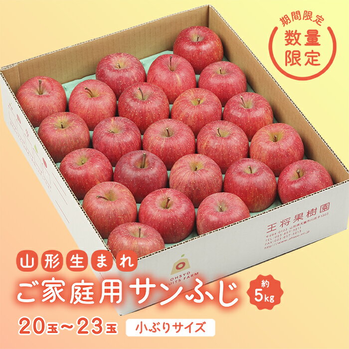【ふるさと納税】 《先行予約 2024年度発送》【王将果樹園】ご家庭用サンふじ 5kg FSY-0072のサムネイル