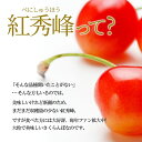 山形県の画像3