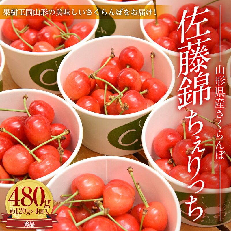 [先行予約 令和6年6月中旬発送]山形県産さくらんぼ佐藤錦 秀品 L玉以上 ちぇりっち 120g × 4個入