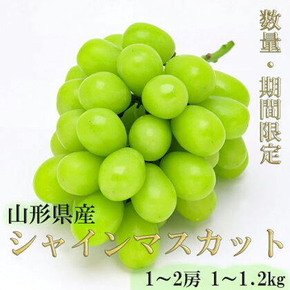 《令和6年産先行受付》※数量・期間限定※ 山形県産シャインマスカット 約1kg～1.2kg 1～2房 FSY-0021