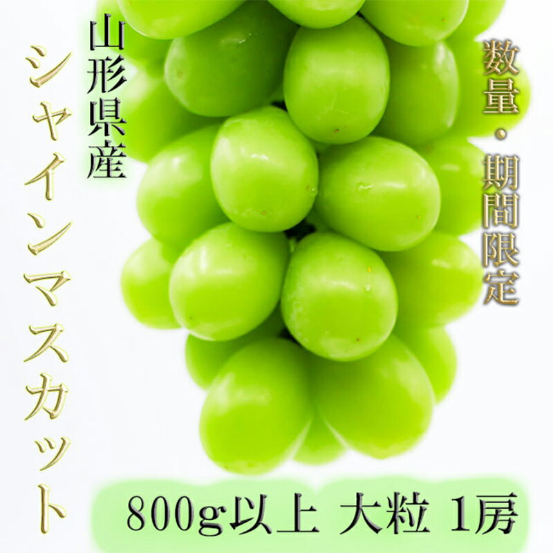 [令和6年産先行受付]※数量・期間限定※ 山形県産シャインマスカット 800g以上 大粒 1房