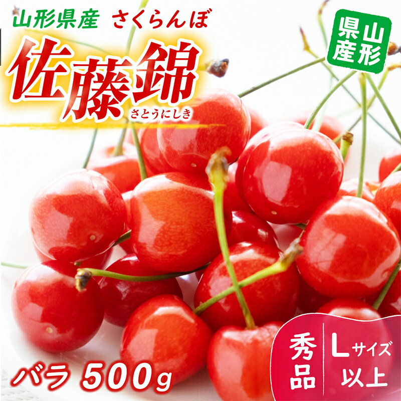 [令和6年産先行受付]※数量・期間限定※ 山形県産さくらんぼ 佐藤錦 バラ500g 秀品 Lサイズ以上