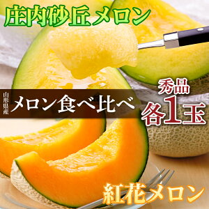 【ふるさと納税】 《令和7年度発送》希少【庄内砂丘メロン】夏ギフト 紅花メロン(赤肉)とアンデスメロン(青肉)【みちのくギフト】 メロン デザート フルーツ 果物 くだもの 果実 食品 山形県 FSY-0035