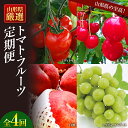 【ふるさと納税】 《2024年6月発送開始》山形県の至高！山形県厳選トマト・フルーツ定期便 全4回 FSY-0086