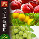 【ふるさと納税】《2023年8月発送開始》山形県の至高！山形県厳選フルーツ定期便 全3回 白桃 黄金桃 桃 もも シャインマスカット ぶどう 山形 山形県産 フルーツ 果物 定期便 FSY-0088