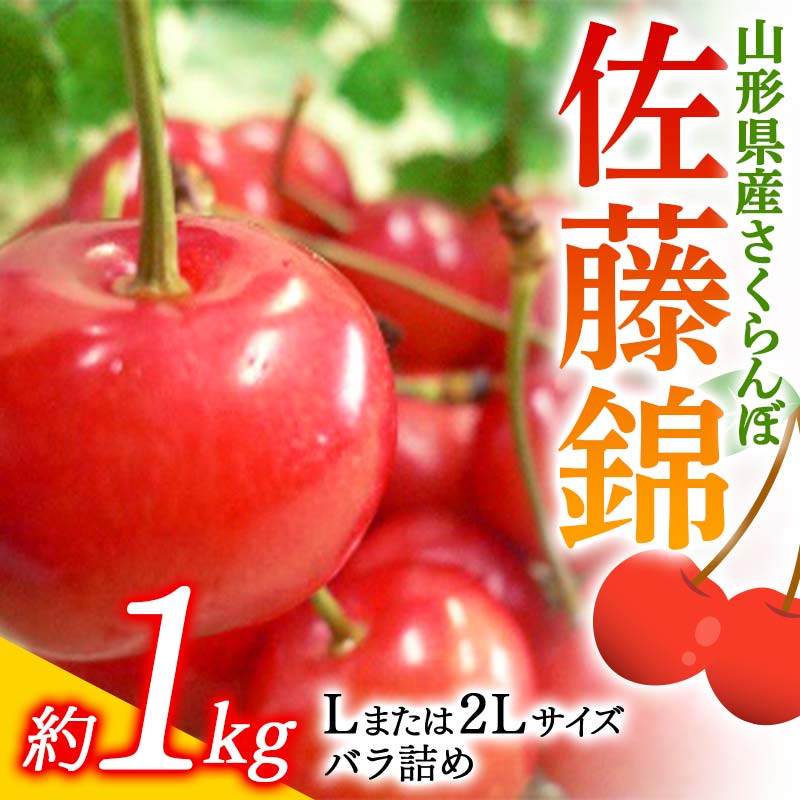 《先行予約 令和6年度産》さくらんぼ佐藤錦 L又は2Lサイズ 1kg バラ詰め FSY-0181