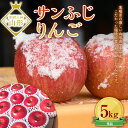  サンふじりんご 5kg (約16～20玉) ギフト箱入り 山形県産 《先行予約 2024年11月中旬から発送開始》 FSY-0196