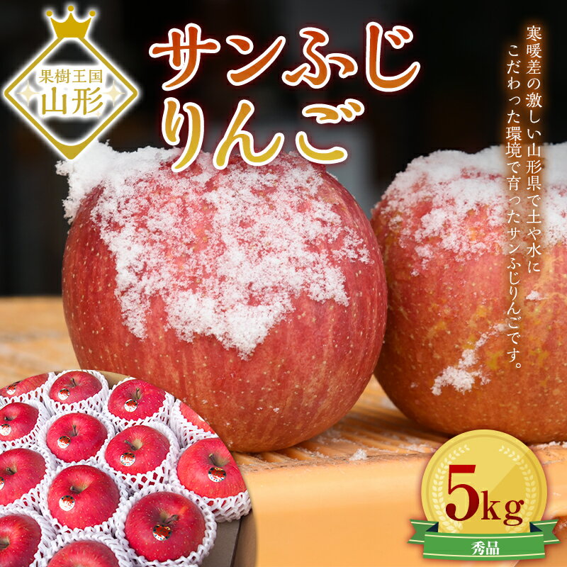 【ふるさと納税】 サンふじりんご 5kg (約16~20玉) ギフト箱入り 山形県産 《2025年11月中旬から発送開始》 りんご リンゴ 林檎 デザート フルーツ 果物 くだもの 果実 食品 山形県 FSY-0196