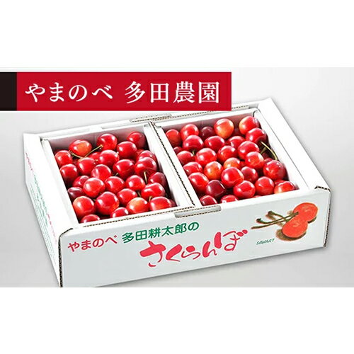 【ふるさと納税】≪2024年 先行予約≫さくらんぼ 紅さやか バラ詰 1kg (500g×2)「やまのべ多田農園」 F2Y-1367