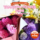 【ふるさと納税】年6回お届け山形のお花の定期便 YAMAGATA FLOWER 山寺6 F2Y-2367