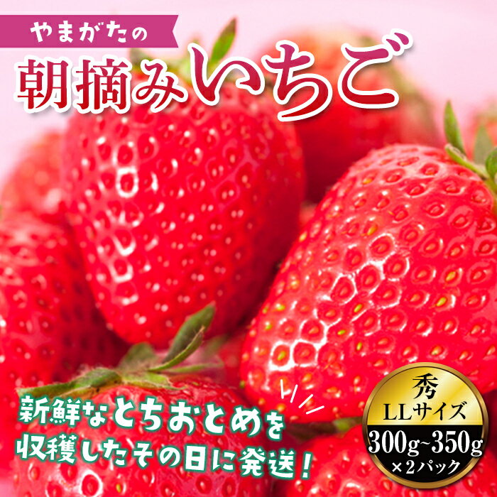 【ふるさと納税】 《先行予約 2026年度発送》真っ赤に育った冬の贅沢☆朝摘み大粒いちご FSY-0116