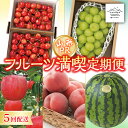 7位! 口コミ数「5件」評価「3.8」山形PR 満喫！山形県産フルーツ定期便5回 F2Y-2625