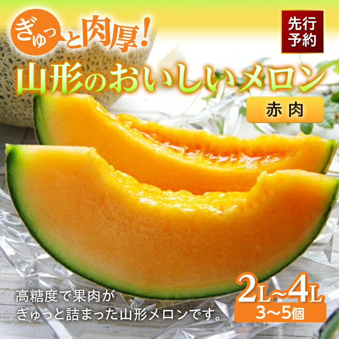 【ふるさと納税】《先行予約 2025年度発送》ぎゅっと肉厚!山形のおいしいメロン【赤肉】 赤肉メロン メロン 赤肉 デザート フルーツ 果物 くだもの 果実 食品 山形県 FSY-0117