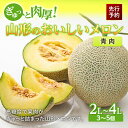 【ふるさと納税】 《先行予約 2026年度発送》ぎゅっと肉厚!山形のおいしいメロン【青肉】 青肉メロン メロン 青肉 デザート フルーツ 果物 くだもの 果実 食品 山形県 FSY-0118