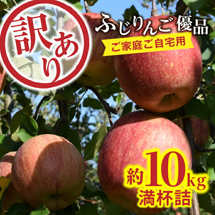 【ふるさと納税】 【訳あり】♪ご家庭ご自宅用♪ふじりんご優品10kg 箱満杯詰 FSY-0855のサムネイル