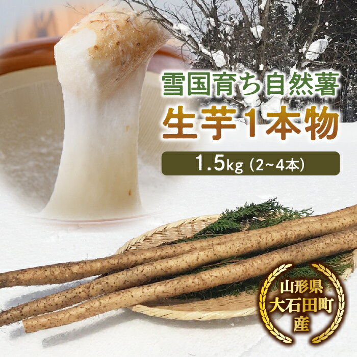 【ふるさと納税】山形県産 雪国育ち自然薯 生芋1本物 1.5kg(2~4本) F2Y-5113