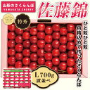 181位! 口コミ数「3件」評価「2.67」 【山形の極み】贈答用 山形県産 さくらんぼ 佐藤錦 700g 特秀 L 置並べ 2025年6月中旬から順次発送 F2Y-5176