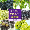 ・ふるさと納税よくある質問はこちら ・寄附申込みのキャンセル、返礼品の変更・返品はできません。あらかじめご了承ください。大粒で種がなく、皮ごと食べられる「シャインマスカット」と「ピオーネ」。 手軽においしく召し上がれると近年大人気のぶどうの定期便です。 ※画像はイメージです。 【株式会社エナジーファーム】 新庄から山形を盛上げよう！を合言葉に、フルーツ王国やまがたの殆どの果物を取り扱いしております。 商品説明 やまがた大粒ぶどう定期便(全2回) 内容量：1シャインマスカット4〜6房(4.5kg) 2ピオーネ4〜6房(4.5kg) 消費期限：約4日 申込条件：オンライン決済限定 申込期日：2024年9月20日まで 発送期日：1回目：シャインマスカット 2024年9月上旬頃～10月中旬頃 2回目：ピオーネ 2024年10月上旬頃～10月下旬頃 配送：冷蔵 事業者：（株）エナジーファーム 「ふるさと納税」寄附金は、下記の事業を推進する資金として活用してまいります。 寄附を希望される皆さまの想いでお選びください。 1. 次代を担い地域を支える人材の育成・確保 2. 競争力のある力強い農林水産業の振興・活性化 3. 高い付加価値を創出する産業経済の振興・活性化 4. 県民が安全・安心を実感し、総活躍できる社会づくり 5. 未来に向けた発展基盤となる県土の整備・活用 6. 自治体におまかせ 申請書を受領証明書と一緒にお送りしますので、必要情報を記載の上、返信用封筒に切手を貼付いただきご返送ください。 入金確認後、注文内容確認画面の【注文者情報】に記載の住所に45日以内に発送いたします。(年末年始を除く)