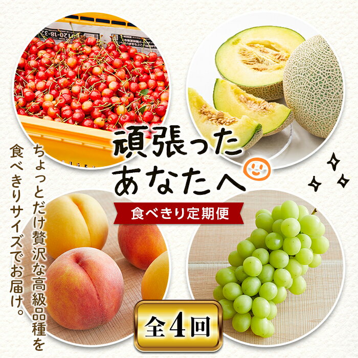 《先行予約 2024年度発送》頑張ったあなたへの贈り物 食べきり定期便 FSY-0128