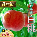 【ふるさと納税】 ≪2025年 先行予約≫ 8月旬の白桃 約5kg 秀(20~22玉) もも モモ 桃 デザート フルーツ 果物 くだもの 果実 食品 山形県 FSY-1328