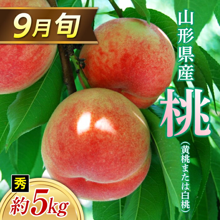 ≪2025年 先行予約≫ 9月旬の桃(白桃または黄桃)約5kg 秀(小玉 20〜22玉) もも モモ 桃 デザート フルーツ 果物 くだもの 果実 食品 山形県