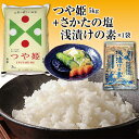 25位! 口コミ数「0件」評価「0」 山形県の人気ブランド米「つや姫5kg」と「酒田の塩・浅漬の素1袋」セット F2Y-3783