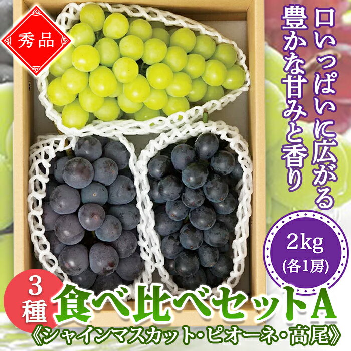 【ふるさと納税】《先行予約》【山形の極み】山形県産　3種食べ比べセットA《シャインマスカット・ピオーネ・高尾》 F2Y-5237のサムネイル