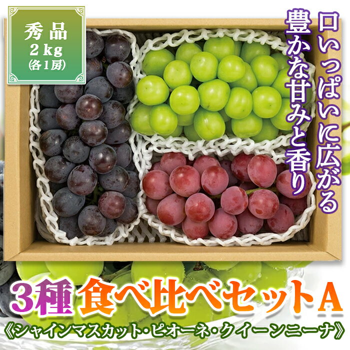 【ふるさと納税】《先行予約》【山形の極み】山形県産　3種食べ比べセットB《シャインマスカット・ピオーネ・クイーンニーナ》 F2Y-5238