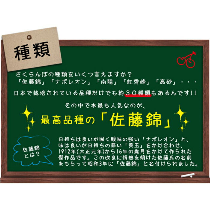 【ふるさと納税】《先行予約》旬大粒♪山形産さくらんぼ佐藤錦☆秀2L・Lサイズ混合☆500gバラ詰【6月上旬〜6月下旬発送】 FSY-0422
