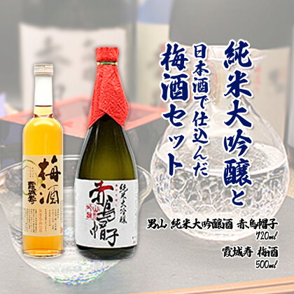 純米大吟醸と日本酒で仕込んだ梅酒セット 男山 fz20-048 山形 お取り寄せ 送料無料