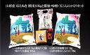 【ふるさと納税】山形産 はえぬき (精米)10kgと醤油・味噌・玉こんにゃくのセット FY22-049 調味料 山形 お取り寄せ 送料無料