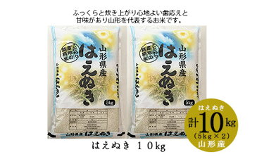 【ふるさと納税】FY20-348 はえぬき 10kg(5kg×2)