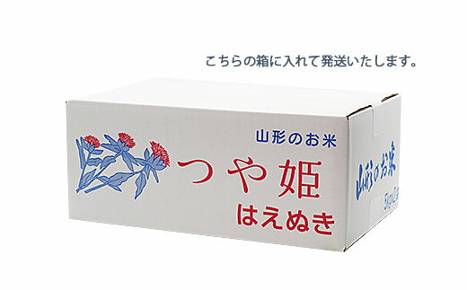 【ふるさと納税】FY22-060 山形産 雪若丸【無洗米】10kg(5kg×2)