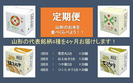 【4ヶ月連続定期便】無洗米 キューブ米 4種(300g×各20個)×4回 FY20-384 真空 真空パック 送料無料 小分け 長期保存 便利 つや姫 1年 はえぬき 雪若丸 こりひかり 食べ比べ 山形 お取り寄せ ブランド米 備蓄 備蓄米 山形市 山形県